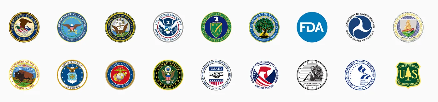 Seals of federal agencies AE Strategies has served, including the Departments of Justice, Defense, Navy, Homeland Security, Energy, Education, Transportation, Agriculture, Interior, Air Force, Marine Corps, Army, plus the FDA, USAID, CPSC, GSA, FRTIB, and Forest Service.